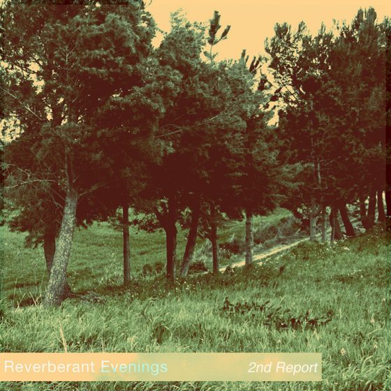 Reverberant Evenings - 2nd Report