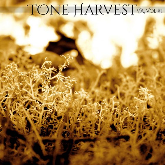 Tone Harvest - V.A. Vol #1